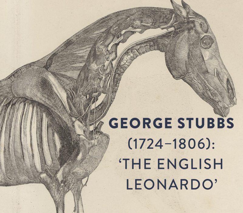 George Stubbs (1724 – 1806): ‘The English Leonardo’