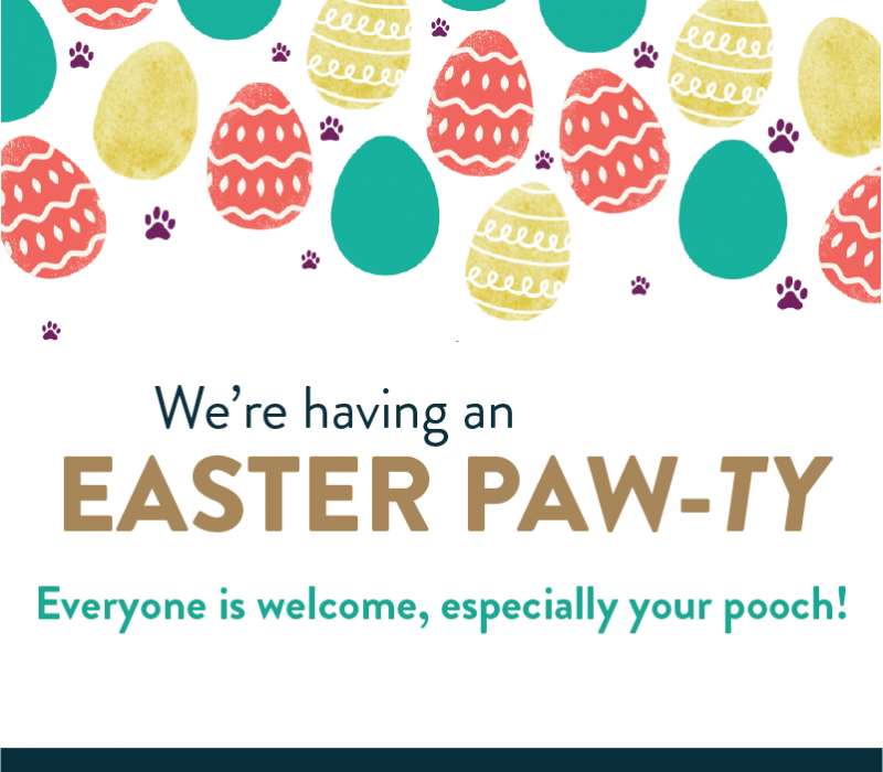 Easter Paw-ty at the Museum 2025